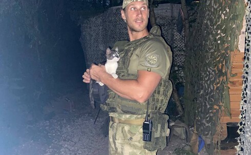 Диджей